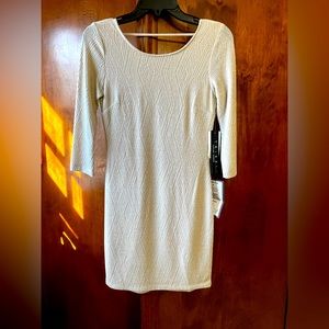 NWT Trixxi Clothing Company form-fitting dress